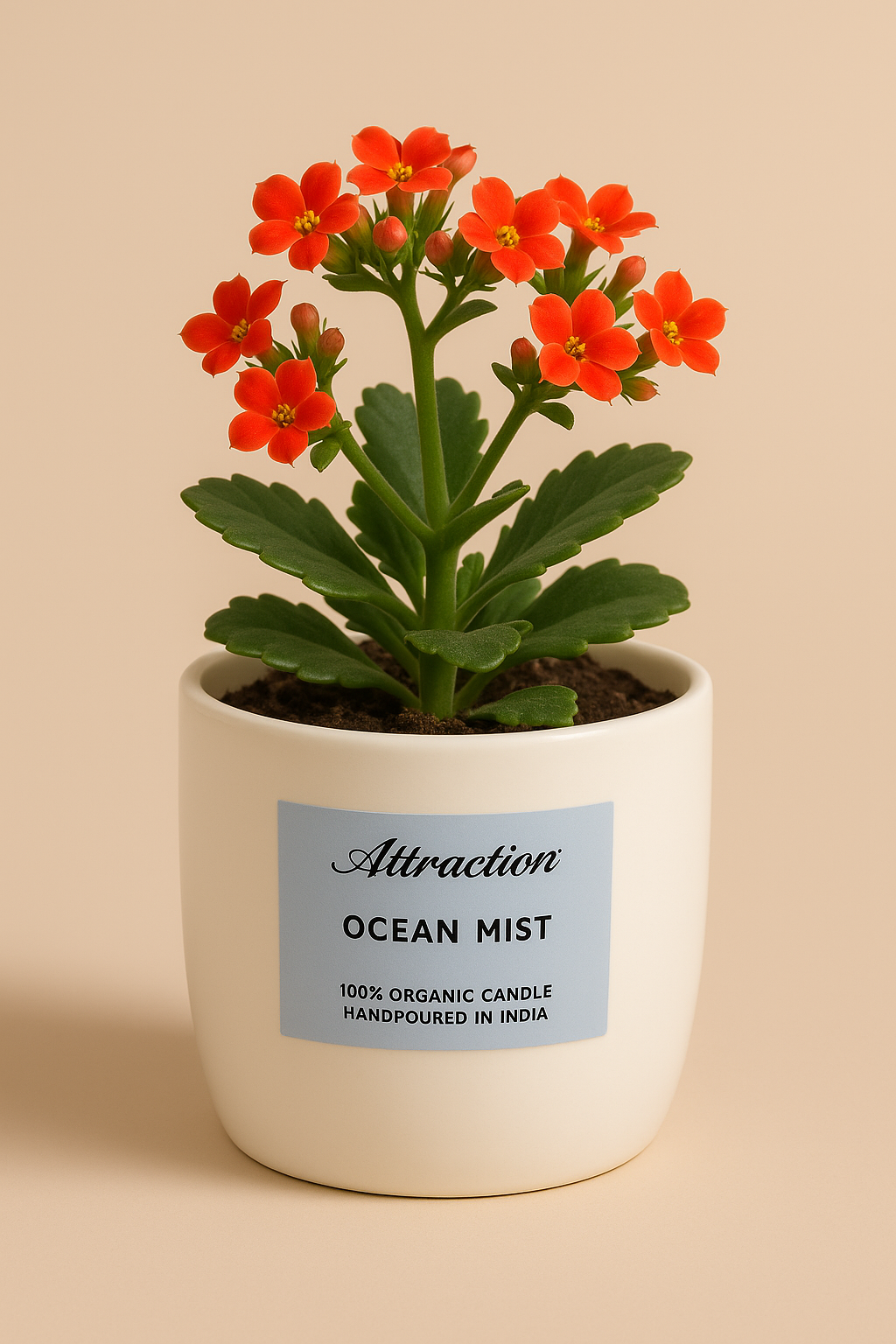 Blue Drift (Ocean Mist – Aqua Fresh)