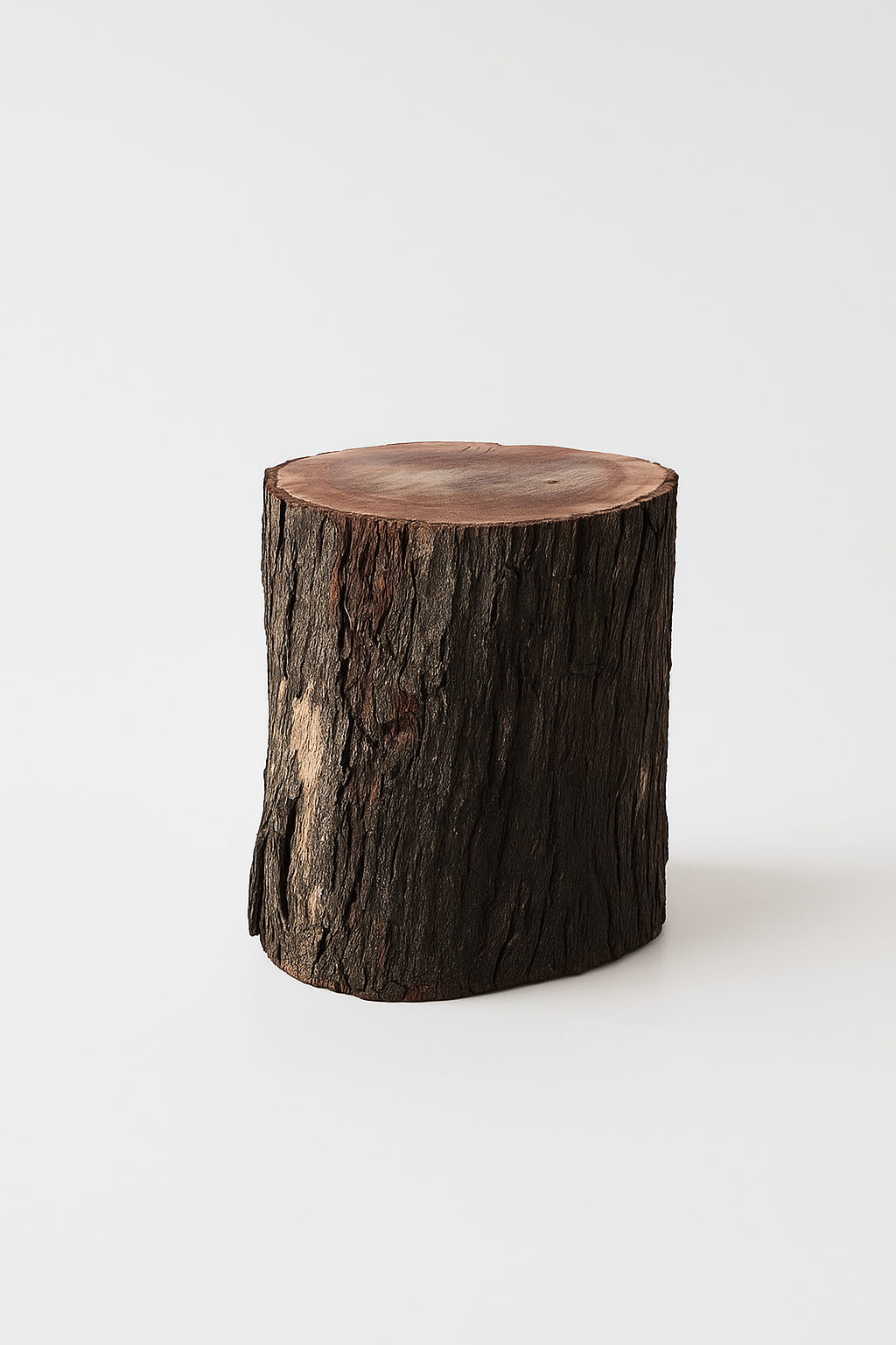 The Side Edit - Wood Log